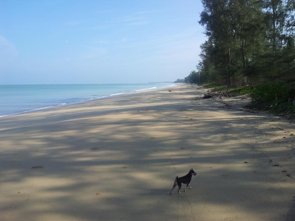 Living Room Apartments Bang Lut Beach Khaolak Bang Sak 部屋 写真